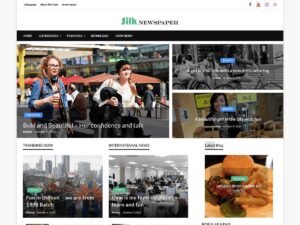 Silk Newspaper magazines blogs WordPress Theme