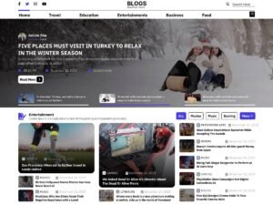 Stylish Blog WordPress Theme