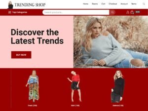 Trending WooCommerce WordPress Theme