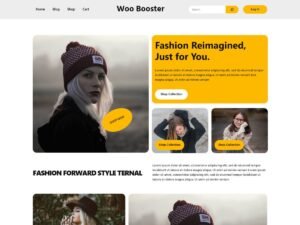 Woo Booster Fashion WordPress Theme