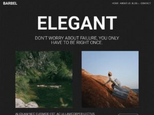 Barbel features style WordPress Theme