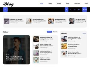 Blogger Blocks bloggers content WordPress Theme