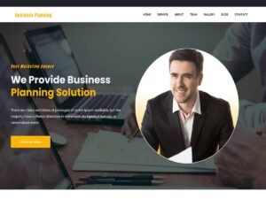 Business Planning services layouts WordPress Theme