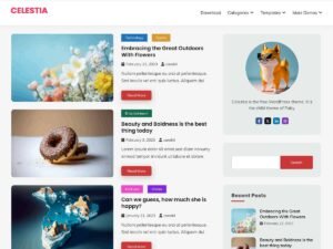 Celestia options icons WordPress Theme