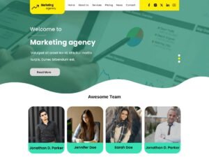 Classic Digital Marketing style functionality WordPress Theme