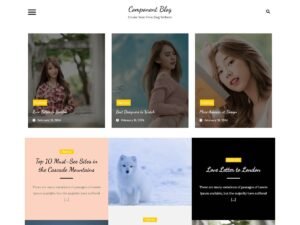 Component Blog kinds fashion WordPress Theme