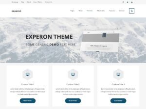 Experon Biz layout slider WordPress Theme