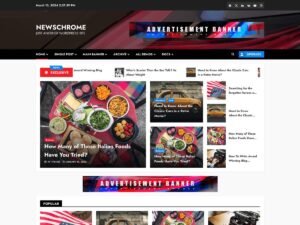 NewsChrome support website WordPress Theme