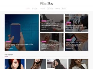 Pillar Blog kantipur themes WordPress Theme