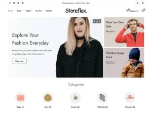 StoreFlex options design WordPress Theme