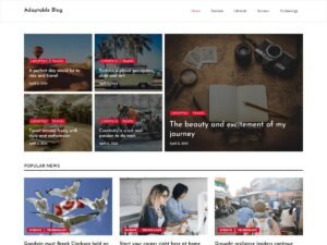 Adaptable Blog kinds fashion WordPress Theme