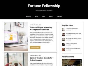 AffiliBlog website blog WordPress Theme