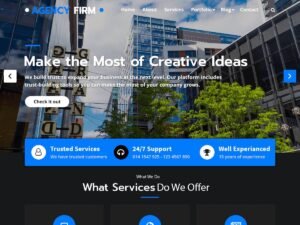 Agency Firm design seo WordPress Theme