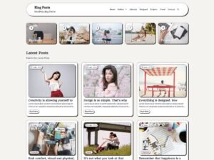 Blog Posts websites design WordPress Theme