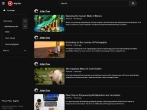BlogTube blogs video WordPress Theme