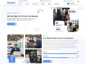 Business Assistant layout users WordPress Theme