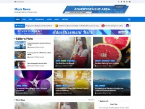 Major News magazines blogs WordPress Theme