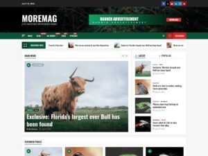 MoreMag news content WordPress Theme