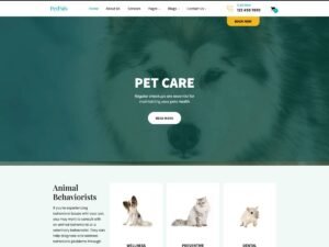 Petpalsi amp design WordPress Theme