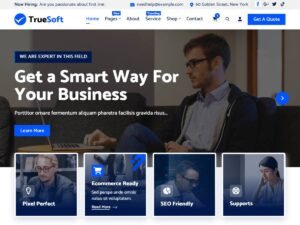 TrueSoft it business WordPress Theme