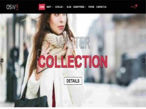 wp blank themes starting WordPress Theme