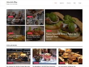 Adjustable Blog kinds fashion WordPress Theme