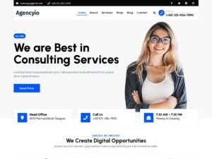 Agencyio law ideal WordPress Theme