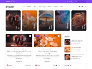 Blogistic image settings WordPress Theme