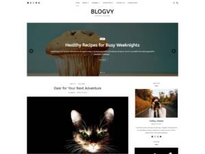 Blogvy solution blogs WordPress Theme