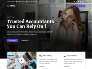 Bosa Accounting business sites WordPress Theme