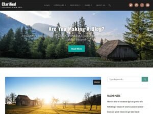 Clarified features options WordPress Theme