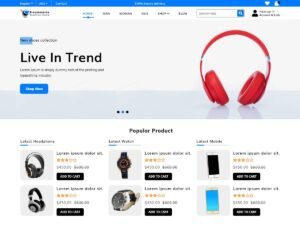Ecommerce Store Elementor needs features WordPress Theme