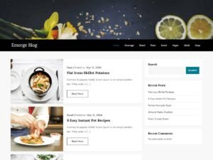 Emerge Blog kantipur themes WordPress Theme