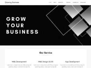 Growing Business businesses customization WordPress Theme