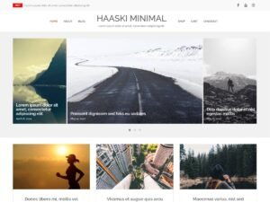 Haaski Minimal blog child WordPress Theme
