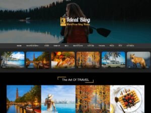 Ideal Blog themes features WordPress Theme