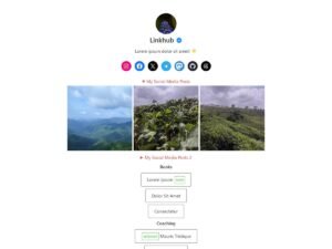 Linkhub block link WordPress Theme