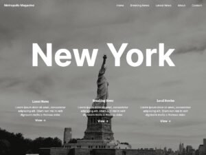 Metropolis Magazine bloggers content WordPress Theme