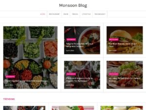 Monsoon Blog kantipur themes WordPress Theme