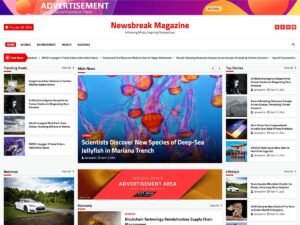 Newsbreak Magazine demo design WordPress Theme