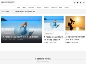Newstory Lite blog newsstory WordPress Theme