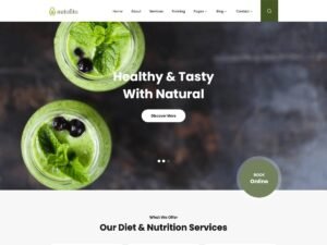 Nutofito amp design WordPress Theme