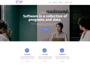 Software Elementor softwares business WordPress Theme