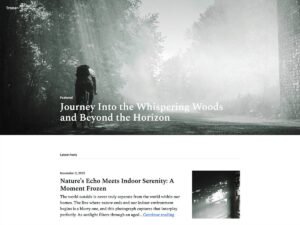 Tronar blog images WordPress Theme