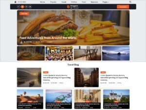 Unique Blogger content readers WordPress Theme