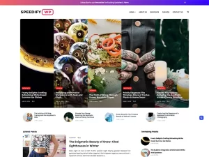 Fast-loading WordPress Themes Free