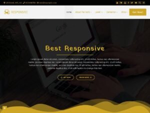 Best Responsive options page WordPress Theme