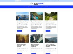 Blog Adventure customizer icons WordPress Theme