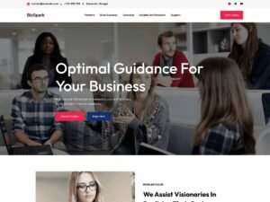 Business Spark website block WordPress Theme