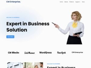 CM Enterprise presence customization WordPress Theme